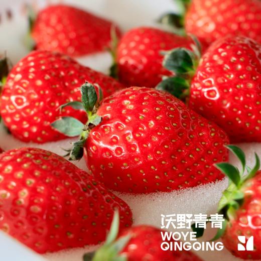 沃野青青香草莓 有机草莓 果肉紧实 口感香甜 果香四溢 唇齿留香 商品图4