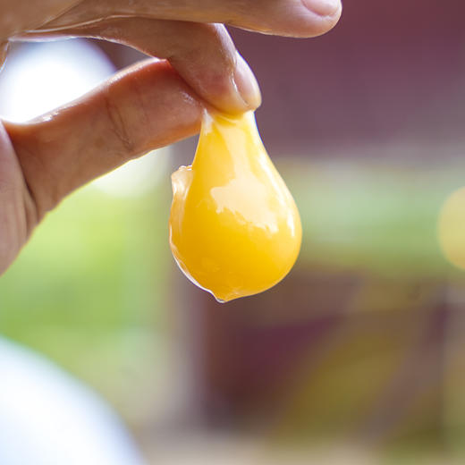 绿壳鸡蛋  30枚 商品图2