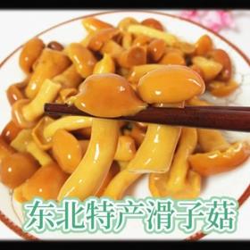 滑子菇（珍珠菇）3斤【FY】