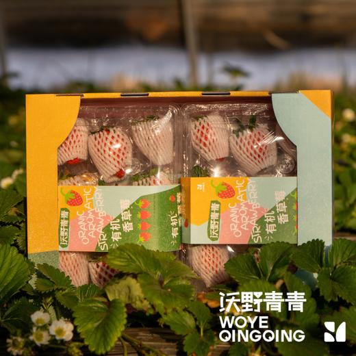 沃野青青香草莓 有机草莓 果肉紧实 口感香甜 果香四溢 唇齿留香 商品图10