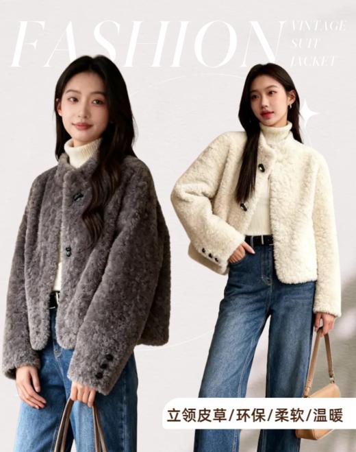 臣禾	【立领皮草】仿羊羔毛皮毛一体外套环保皮草	JZ254011975 商品图0