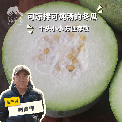 生态水果冬瓜 | 合作生产*Ecological wax gourd | Partner Production 商品图0