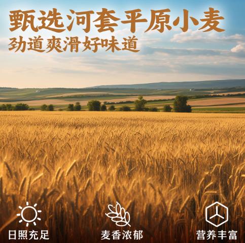 良工坊手工挂面300g 商品图4