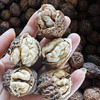 【核桃】野生尖嘴小核桃虽小个却香甜 都是没有泡药水的原生态核桃 /核桃仁 新货包邮 商品缩略图3