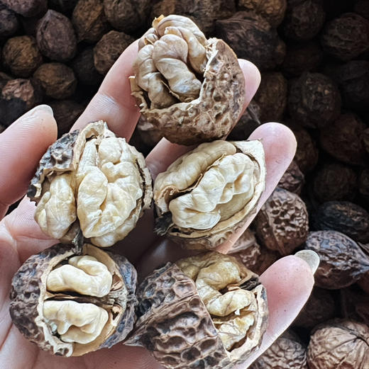 【核桃】野生尖嘴小核桃虽小个却香甜 都是没有泡药水的原生态核桃 /核桃仁 新货包邮 商品图3