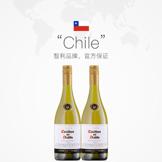 智利原瓶进口干露红魔鬼霞多丽干白葡萄酒 750ml 商品图3
