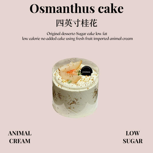 桂香山药四英寸 商品图0