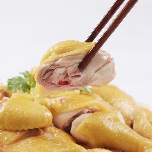 散养当归鸡 商品图3