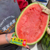 翡翠年华4K西瓜 甘肃产区 酥脆甜 商品缩略图3