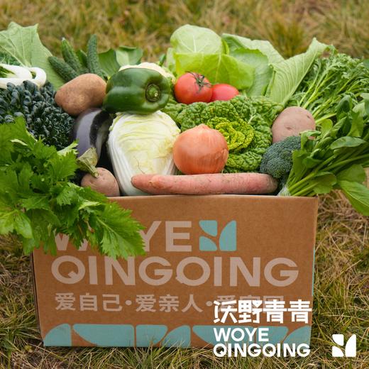【蔬菜礼盒】生态蔬菜包  全过程有机标准种植，全年60-80种菜品 商品图3
