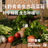 【蔬菜礼盒】生态蔬菜包  全过程有机标准种植，全年60-80种菜品 商品缩略图1