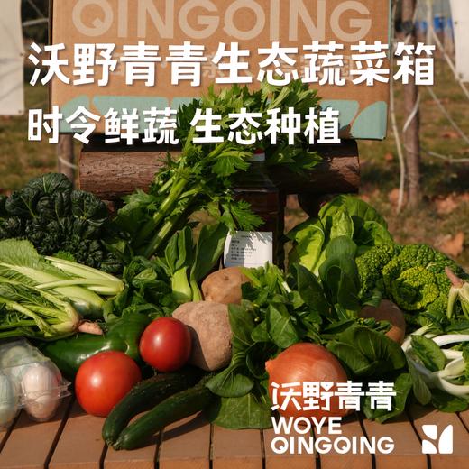 【蔬菜礼盒】生态蔬菜包  全过程有机标准种植，全年60-80种菜品 商品图1