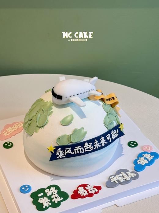 半球型飞机蛋糕 商品图1
