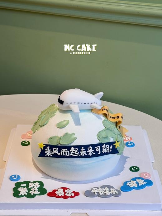 半球型飞机蛋糕 商品图0