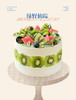 蛋糕定制—绿野仙踪 商品缩略图0