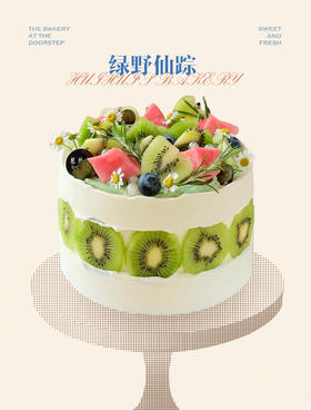 蛋糕定制—绿野仙踪