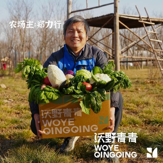 【蔬菜礼盒】生态蔬菜包  全过程有机标准种植，全年60-80种菜品 商品图7