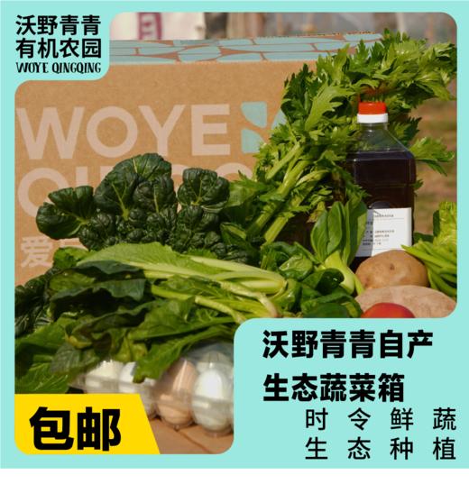 【蔬菜礼盒】生态蔬菜包  全过程有机标准种植，全年60-80种菜品 商品图0