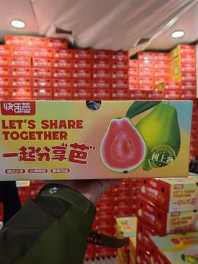 红心芭乐（件）