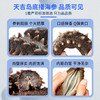 天吉岛 即食海参（0添加） 11-14只（1斤/袋） 商品缩略图1