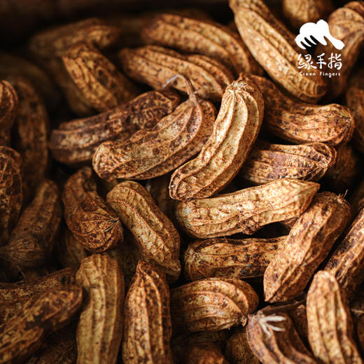 生态七彩鲜花生（中通快递） | 合作生产 *Ecological blooming flowers| Partner Production 商品图2