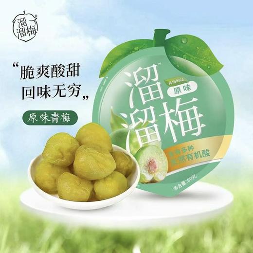 【溜溜梅】 经典休闲装梅子原味青梅60g/袋 商品图0
