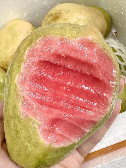 红心芭乐（件） 商品图1