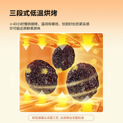 【自提】M都乐 无核胭脂李干520g 商品图4