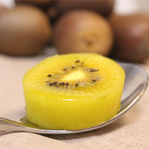 有机阳光黄金（黄心）猕猴桃  多规格可选 产地直发  全国配送（偏远地区除外） 商品图1