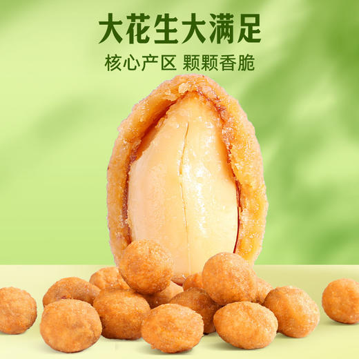 百草味多味花生100g/袋包装坚果炒货花生米小零食品 商品图3