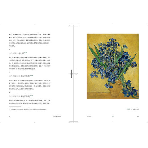 【微瑕特价】梵高手稿 书信艺术作品集 传记 艺术家 法国名画书信集画作 商品图3