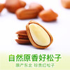 百草味东北松子100g特产休闲手拨坚果开口零食 商品缩略图2