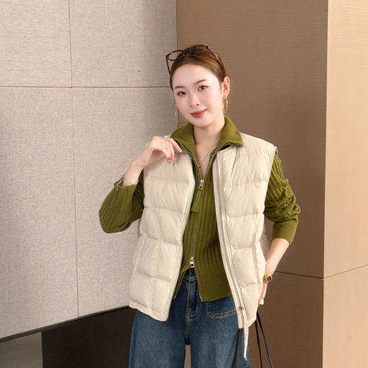 【特价不退换】【预售7天】良木礼羽绒马甲（D251101801） 商品图0