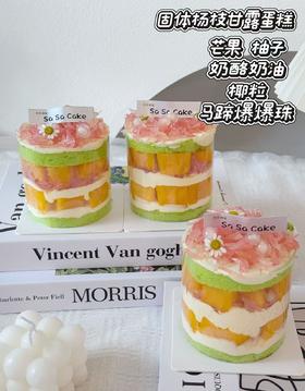 固体杨枝甘露蛋糕（下单现做，根据排单2-3小时左右）