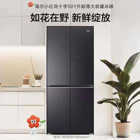 【天津】【海尔】冰箱_十字门彩晶双系统_BCD-501WGHTDC4JXU1【不包安装】