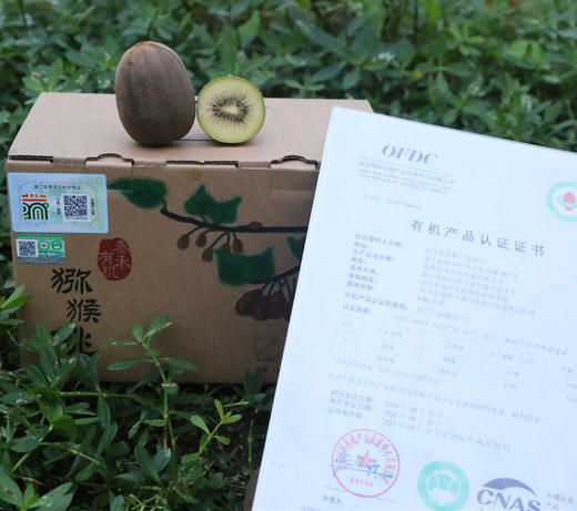 有机阳光黄金（黄心）猕猴桃  多规格可选 产地直发  全国配送（偏远地区除外） 商品图2