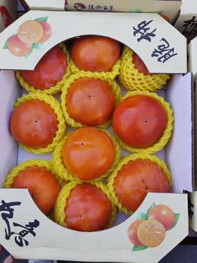 巧克力脆柿子（盒）