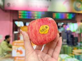 九霄云脆苹果5个850g+