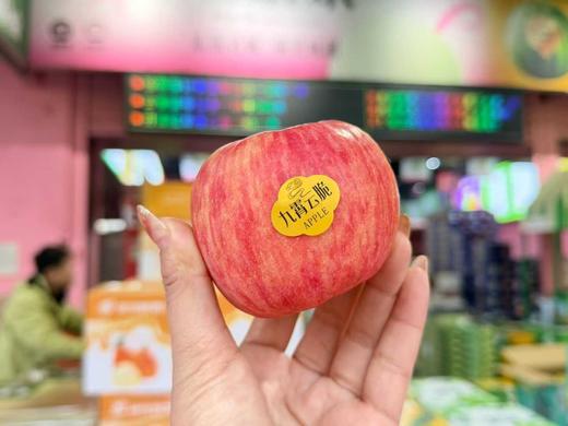九霄云脆苹果5个850g+ 商品图0
