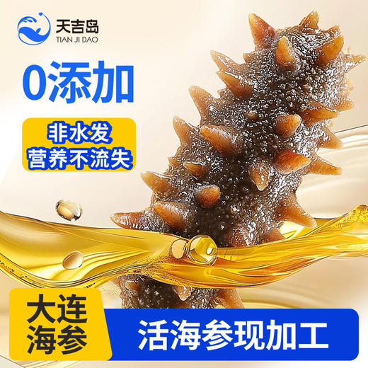 天吉岛 即食海参（0添加） 11-14只（1斤/袋） 商品图0