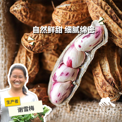 生态七彩鲜花生（中通快递） | 合作生产 *Ecological blooming flowers| Partner Production 商品图0