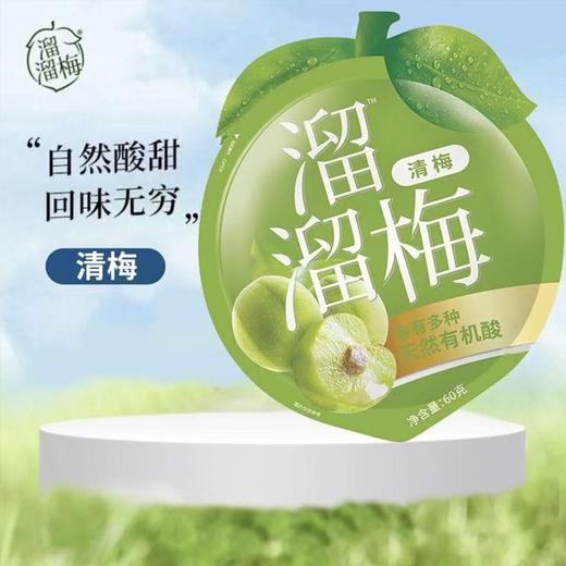 【溜溜梅】 经典休闲装梅子清梅60g/袋 商品图0