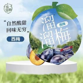【溜溜梅】 经典休闲装梅子西梅60g/袋