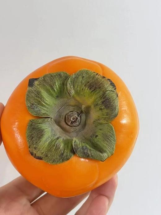 巧克力脆柿子（盒） 商品图3