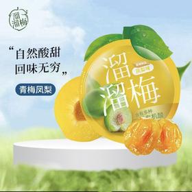 【溜溜梅】 经典休闲装梅子凤梨味青梅60g/袋