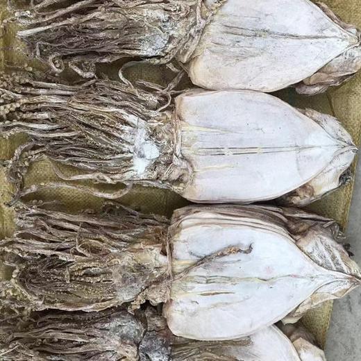 령이네 북조선오징어250g 商品图0