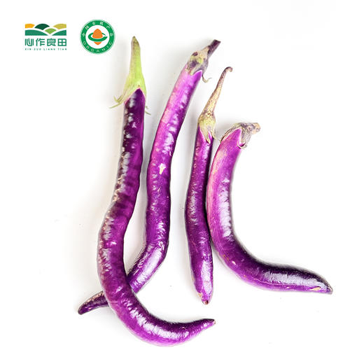 有机长茄 500g 商品图0