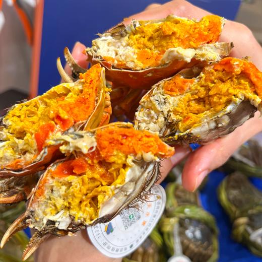 爆黄江苏红膏大闸蟹 有身份证的大品牌螃蟹  鲜活 收到后2小时内有问题可售后 过时不候 商品图2