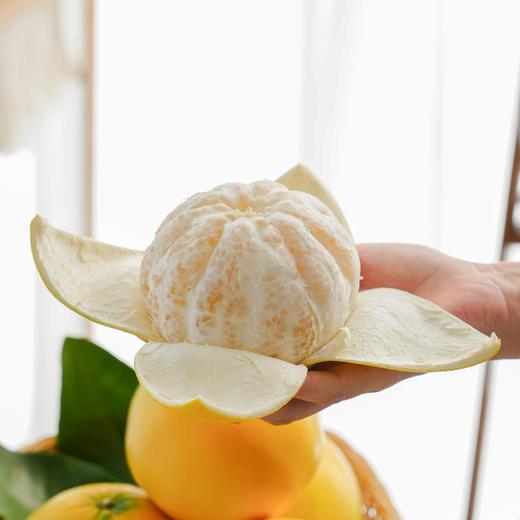 （感恩季直播）秒杀 爆汁葡萄柚彩箱净重4.5-5斤送榨汁杯 商品图4