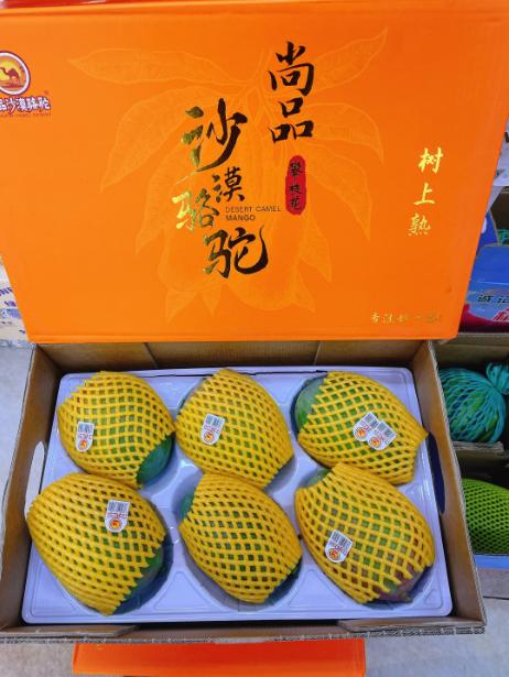 沙漠骆驼芒果一箱 商品图0